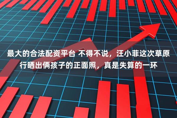 最大的合法配资平台 不得不说，汪小菲这次草原行晒出俩孩子的正面照，真是失算的一环