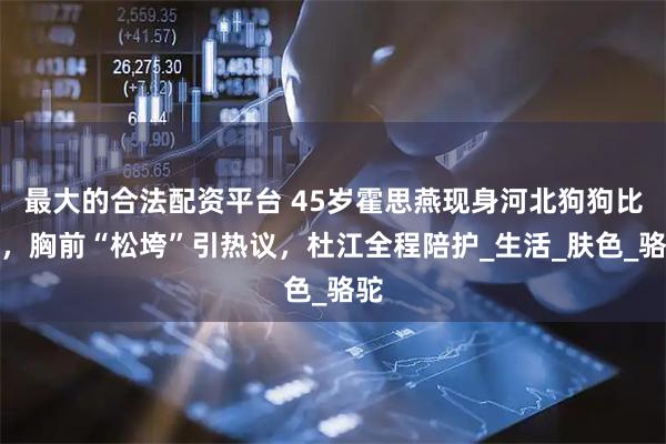 最大的合法配资平台 45岁霍思燕现身河北狗狗比赛，胸前“松垮”引热议，杜江全程陪护_生活_肤色_骆驼